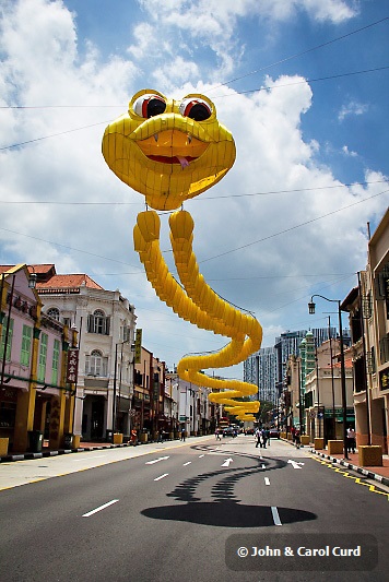 _MG_5420 Year of the Snake.JPG